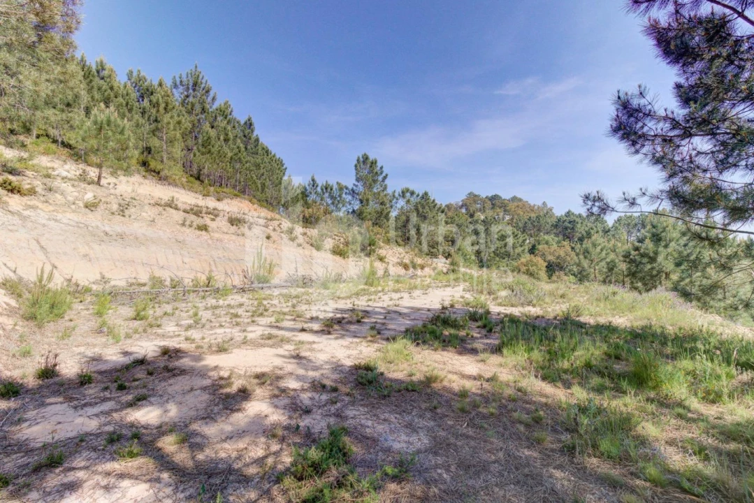 Quinta T4 para Venda em Lousa Foto 14