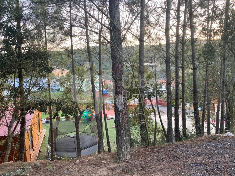 Quinta T4 para Venda em Lousa Foto 18