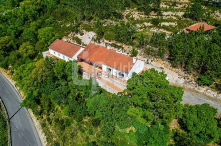 Quinta T4 para Venda em Lousa Foto 1