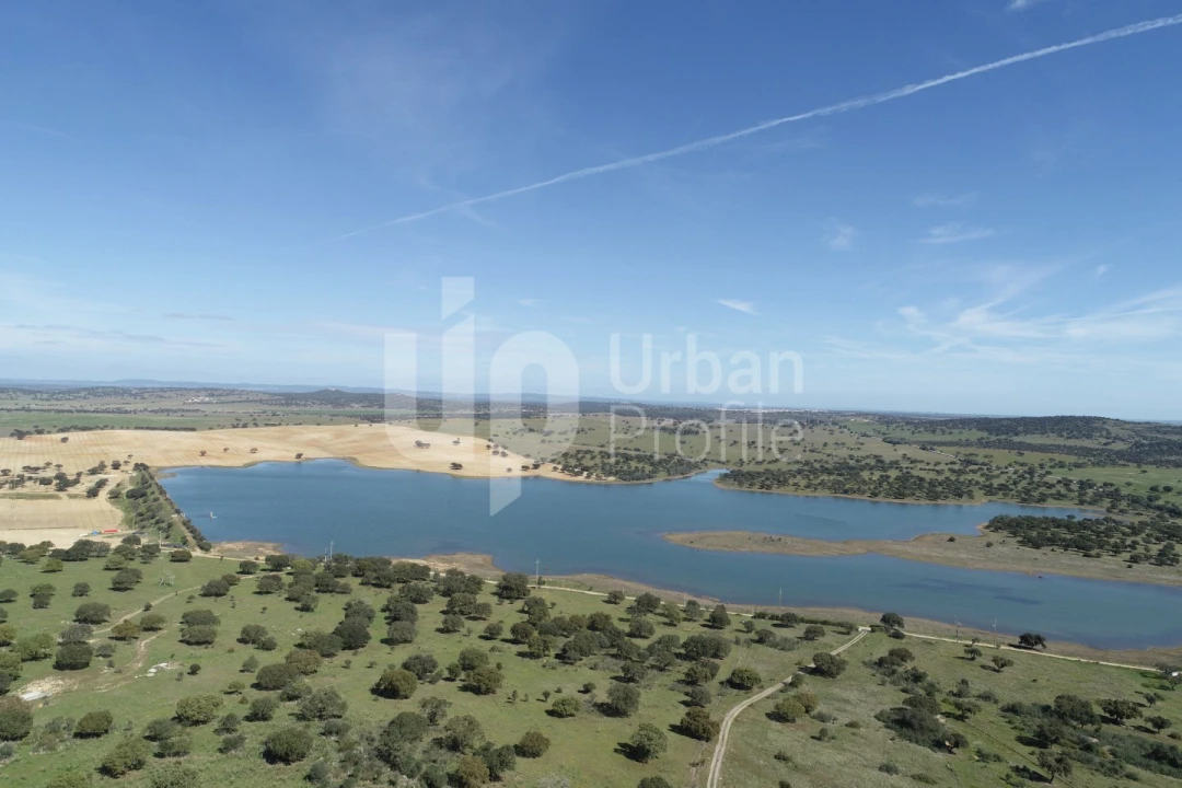 Terreno para Venda em Alcaçovas Foto 1