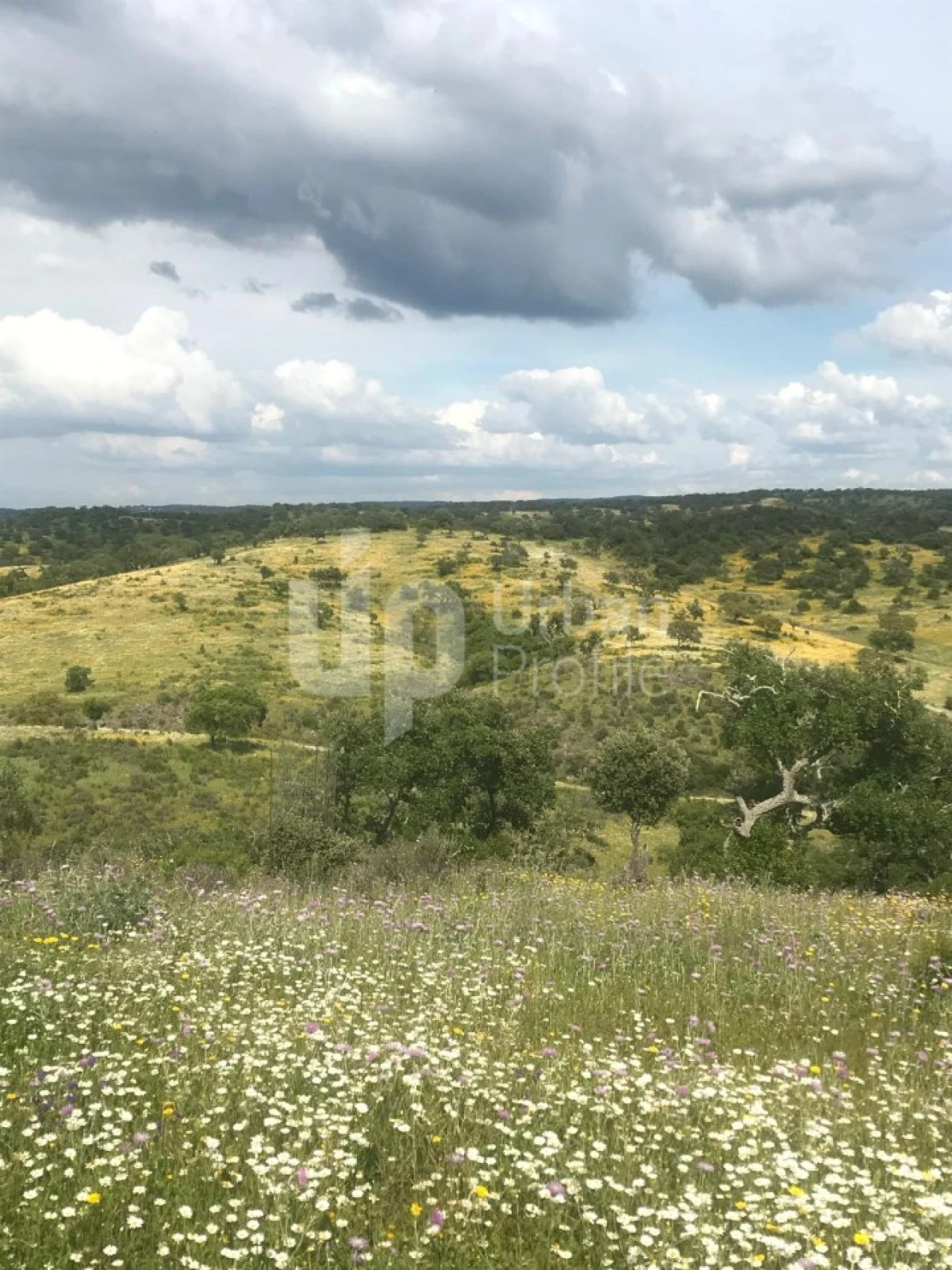 Quinta T1 para Venda em Safara e Santo Aleixo da Restauração Foto 7
