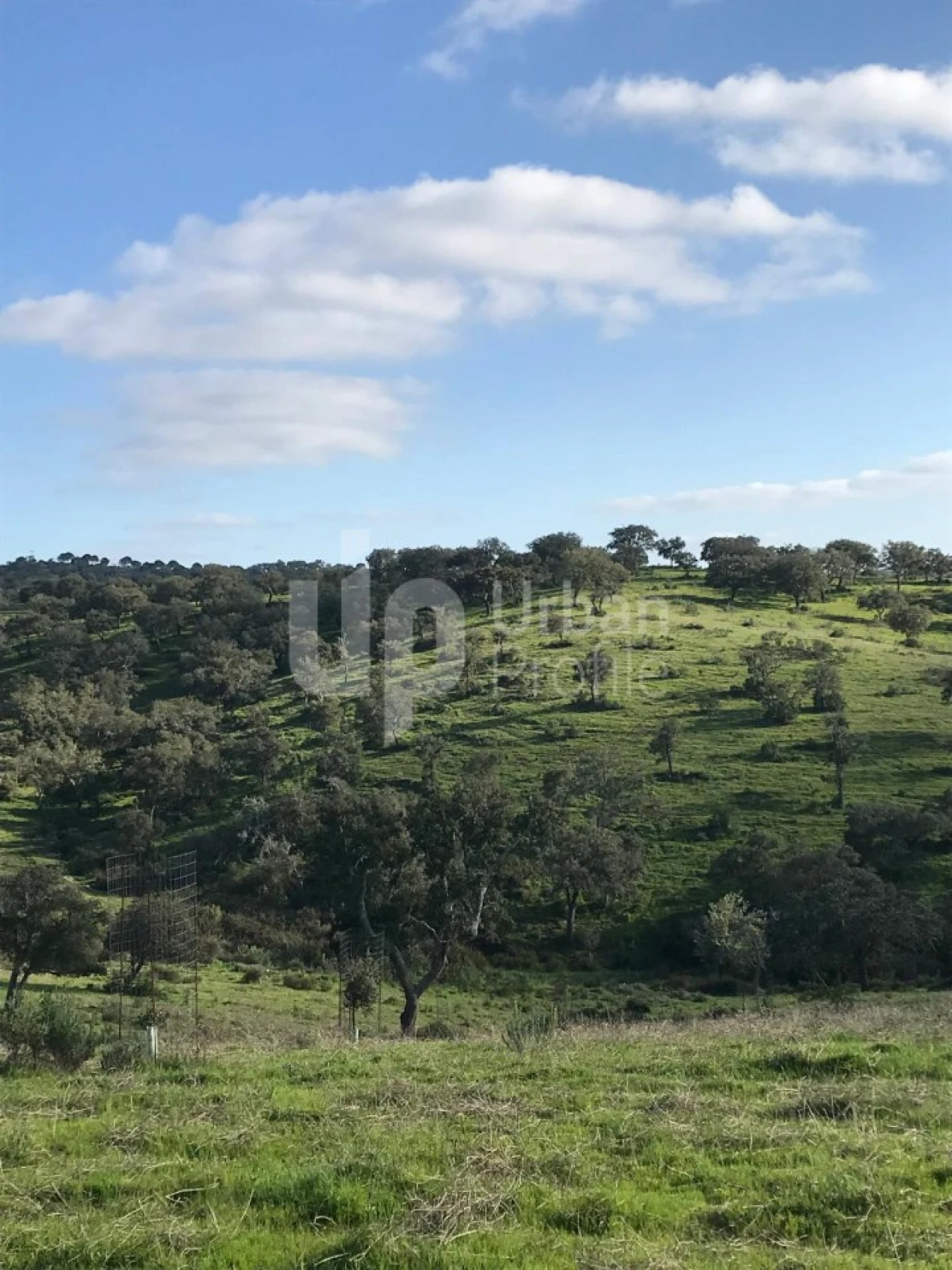 Quinta T1 para Venda em Safara e Santo Aleixo da Restauração Foto 18