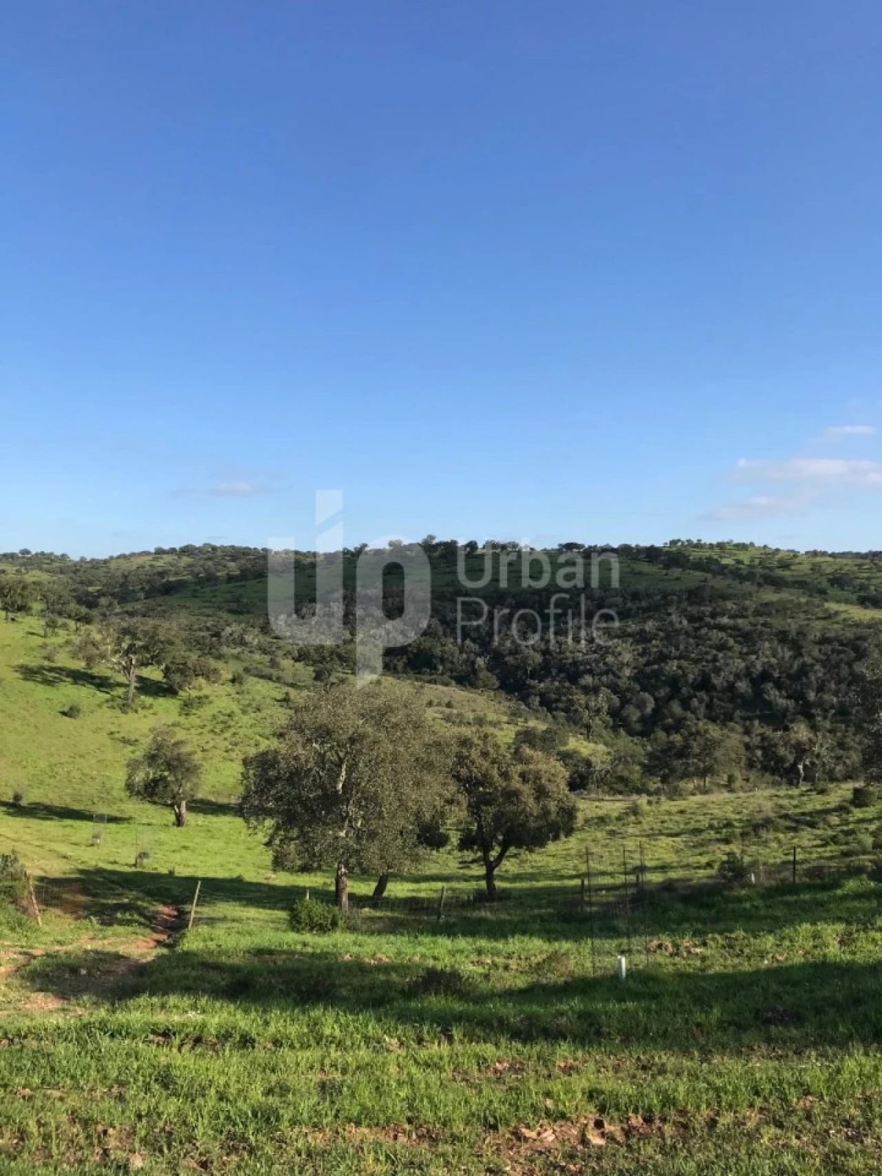 Quinta T1 para Venda em Safara e Santo Aleixo da Restauração Foto 19