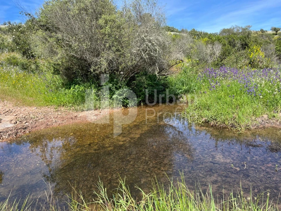 Quinta T1 para Venda em Safara e Santo Aleixo da Restauração Foto 3