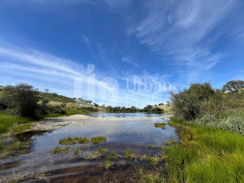 Quinta T1 para Venda em Safara e Santo Aleixo da Restauração Foto 2