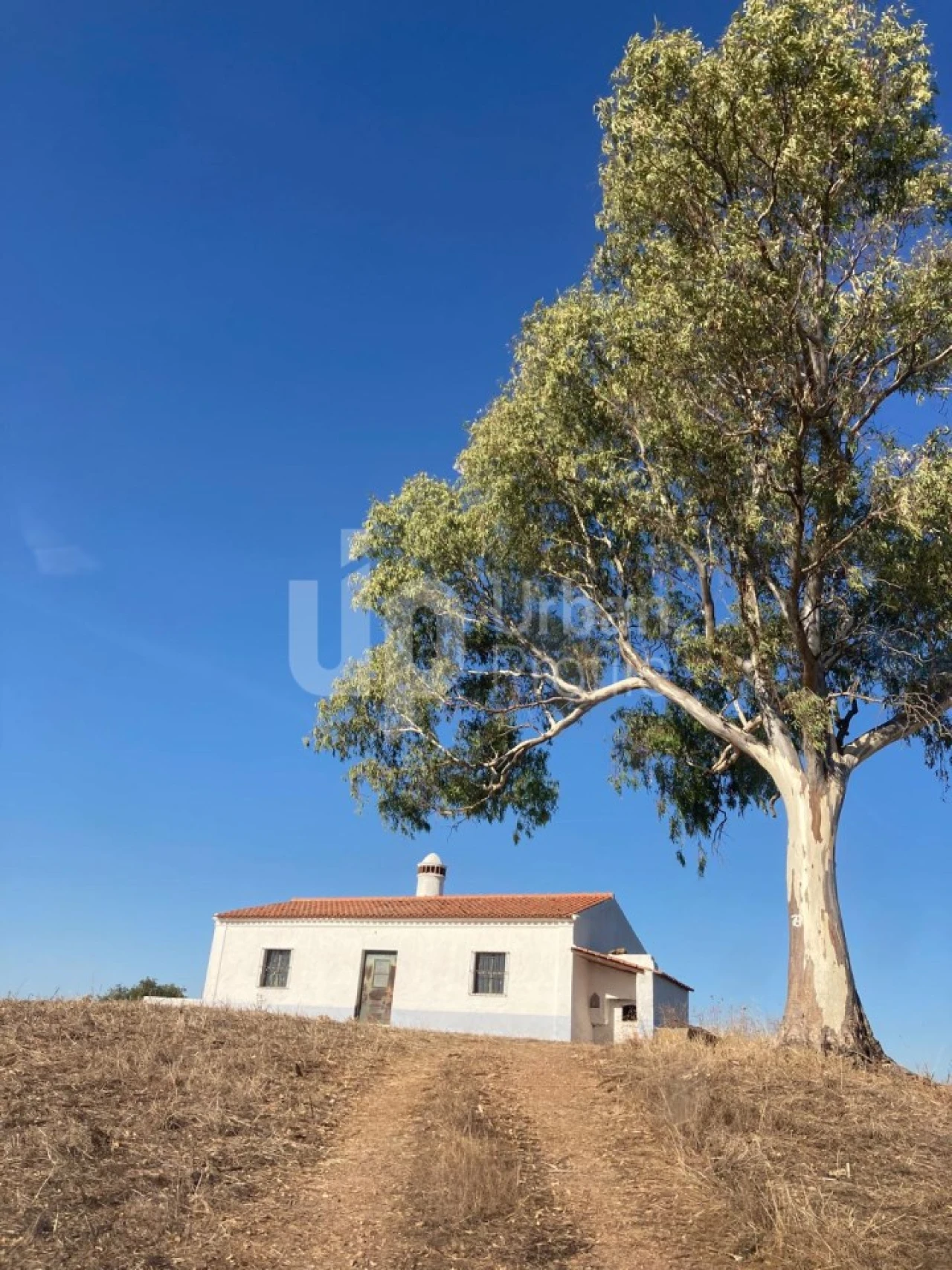 Quinta T1 para Venda em Safara e Santo Aleixo da Restauração Foto 13