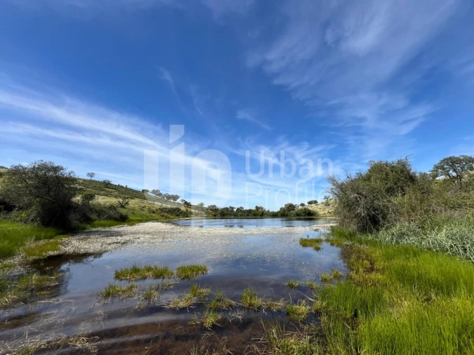 Quinta T1 para Venda em Safara e Santo Aleixo da Restauração Foto 2