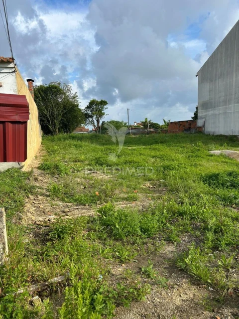 Terreno para Venda em Oliveirinha