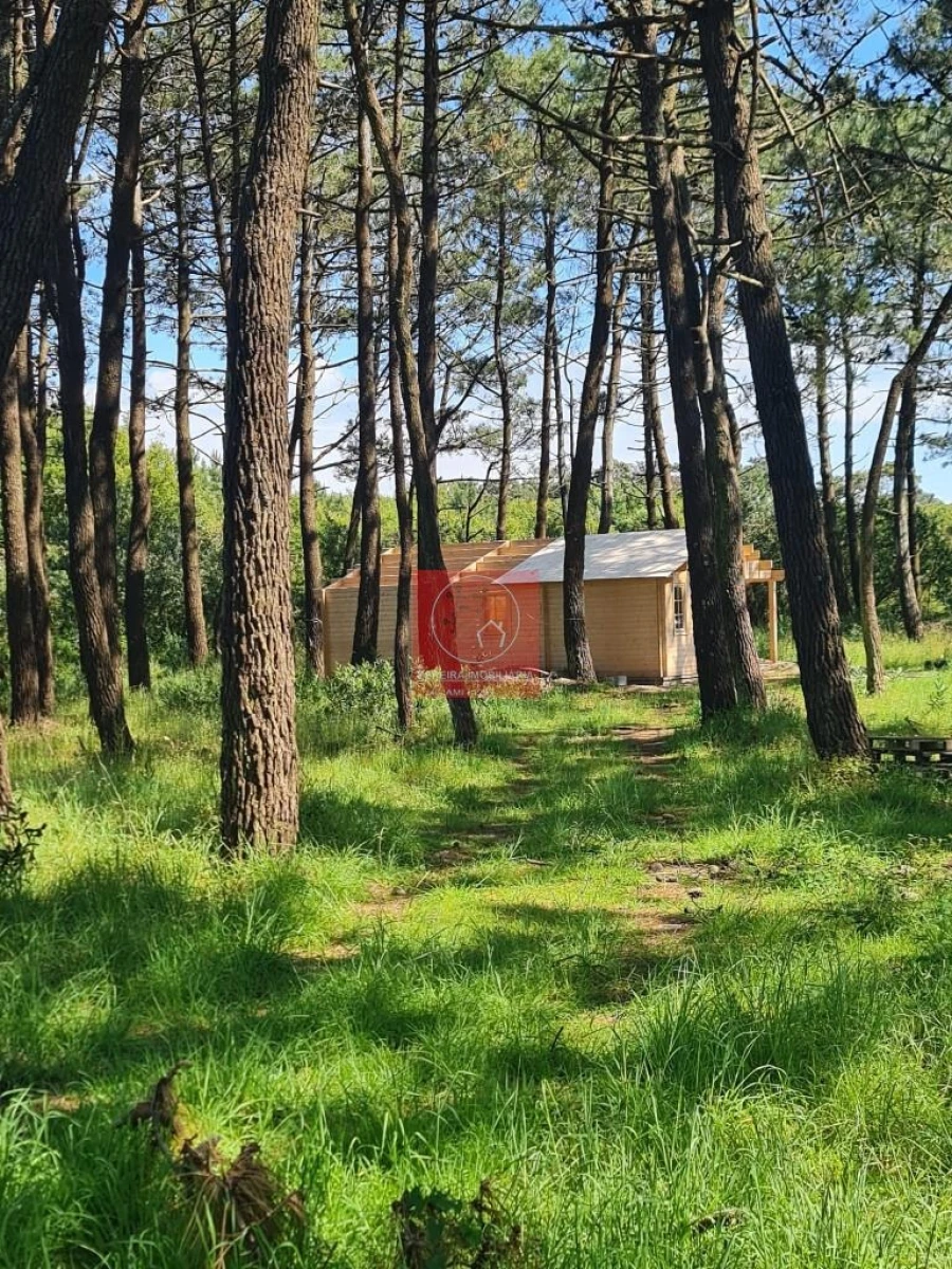 Moradia T2 para Venda em Apúlia e Fão Foto 19