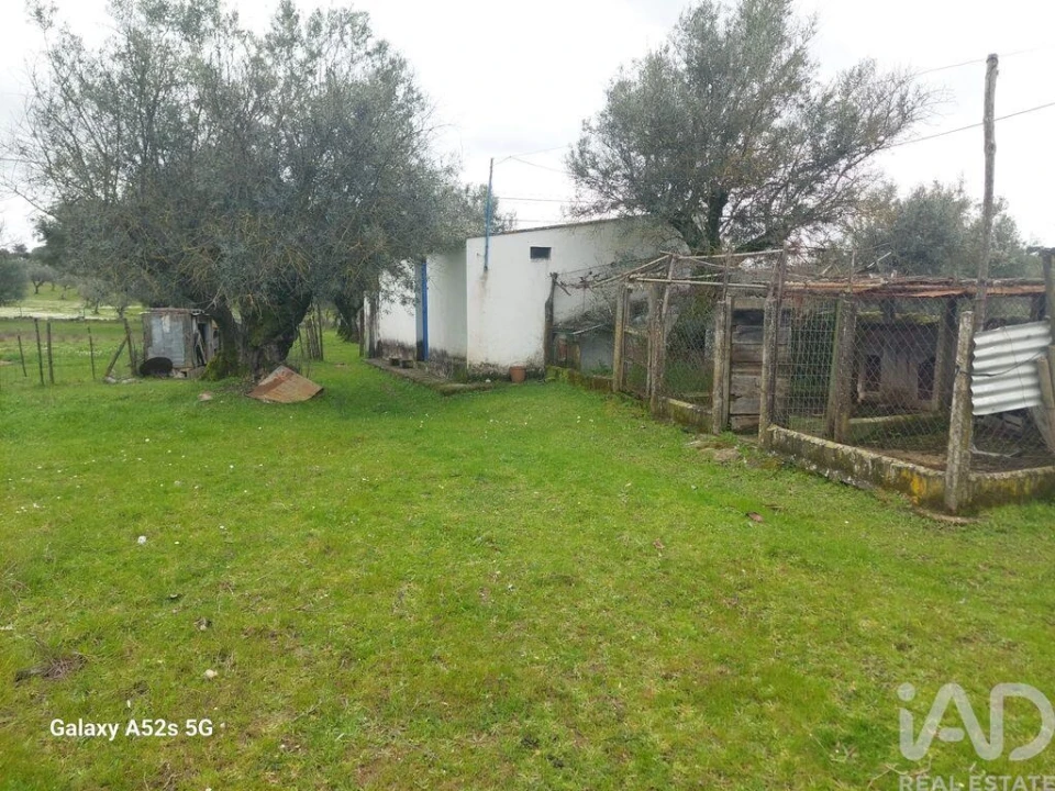 Prédio para Venda em Alegrete Foto 19