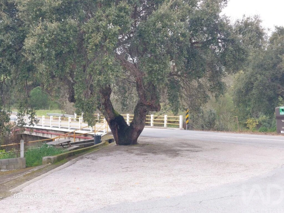Prédio para Venda em Alegrete Foto 21