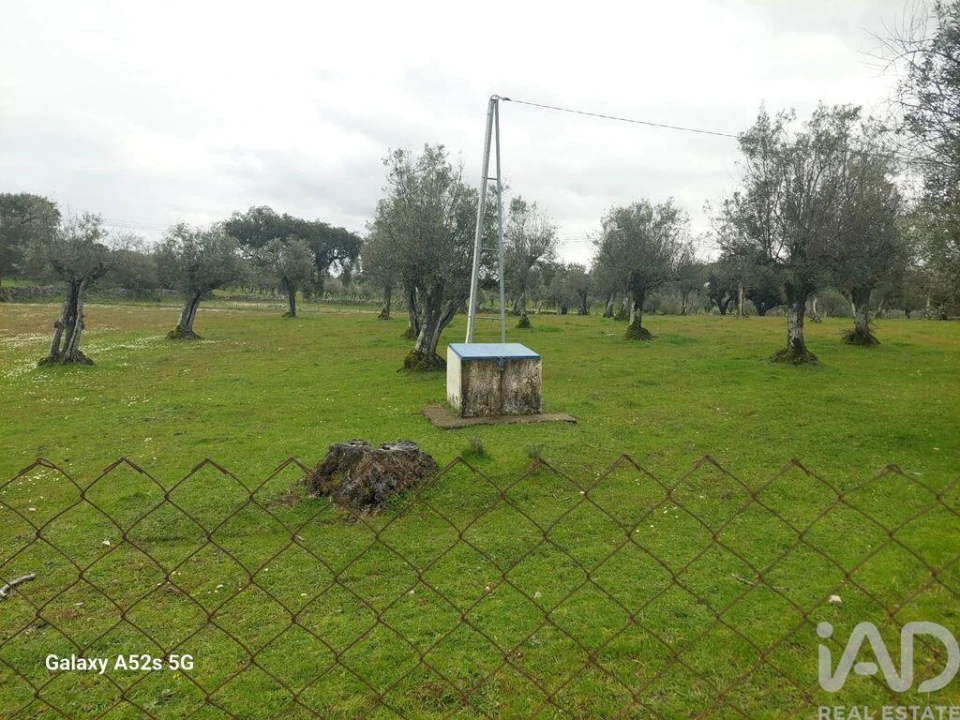 Prédio para Venda em Alegrete Foto 16
