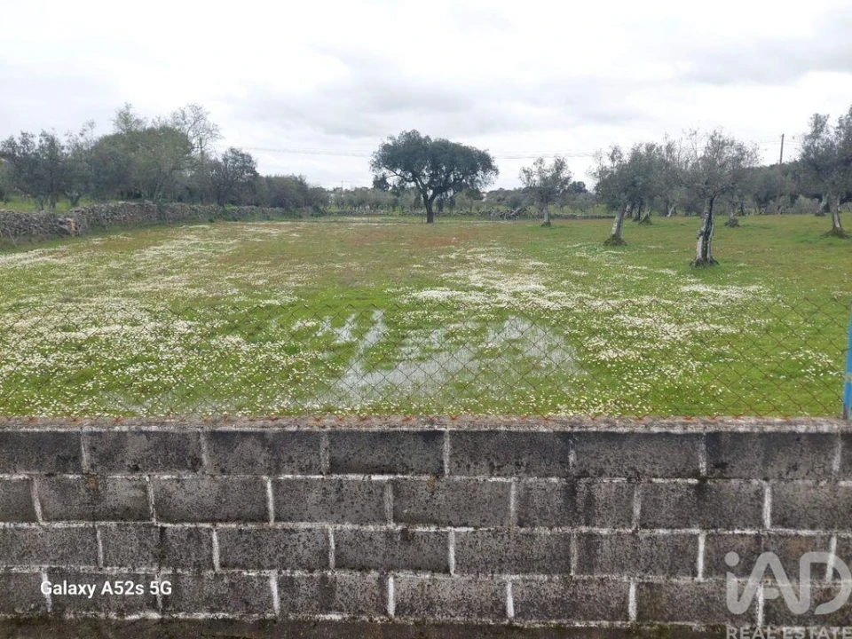 Prédio para Venda em Alegrete Foto 17
