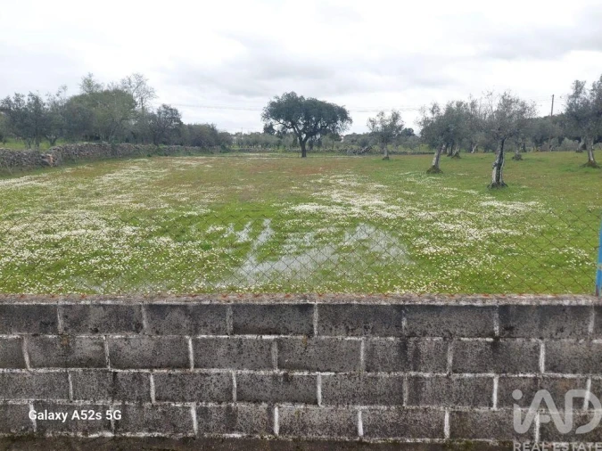 Prédio para Venda em Alegrete Foto 17