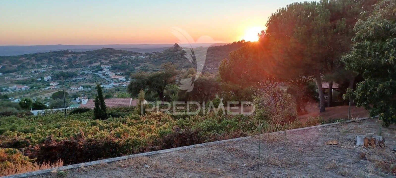 Quinta para Venda em Ribeira de Nisa e Carreiras Foto 3