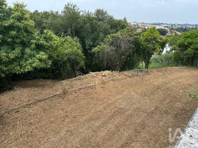 Moradia T4 para Venda em Águeda e Borralha Foto 21