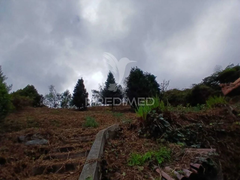 Terreno para Venda em Santo Antonio da Serra Foto 8