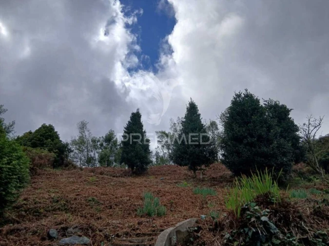 Terreno para Venda em Santo Antonio da Serra Foto 4