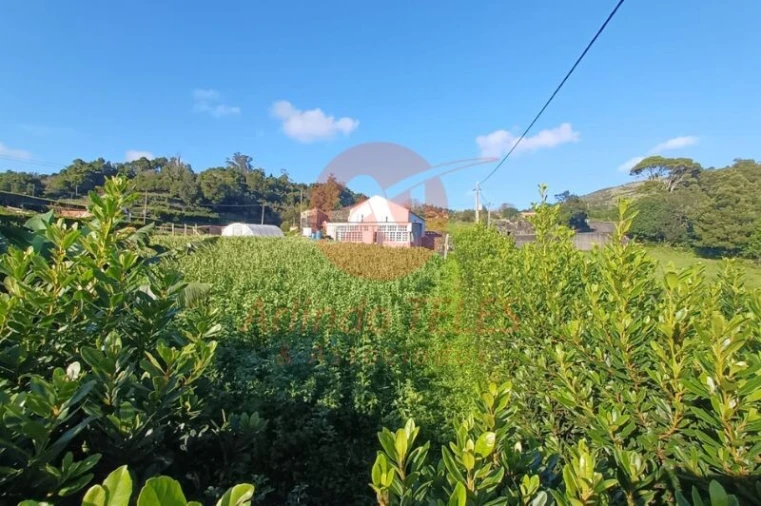 Moradia T2 para Venda em Calheta