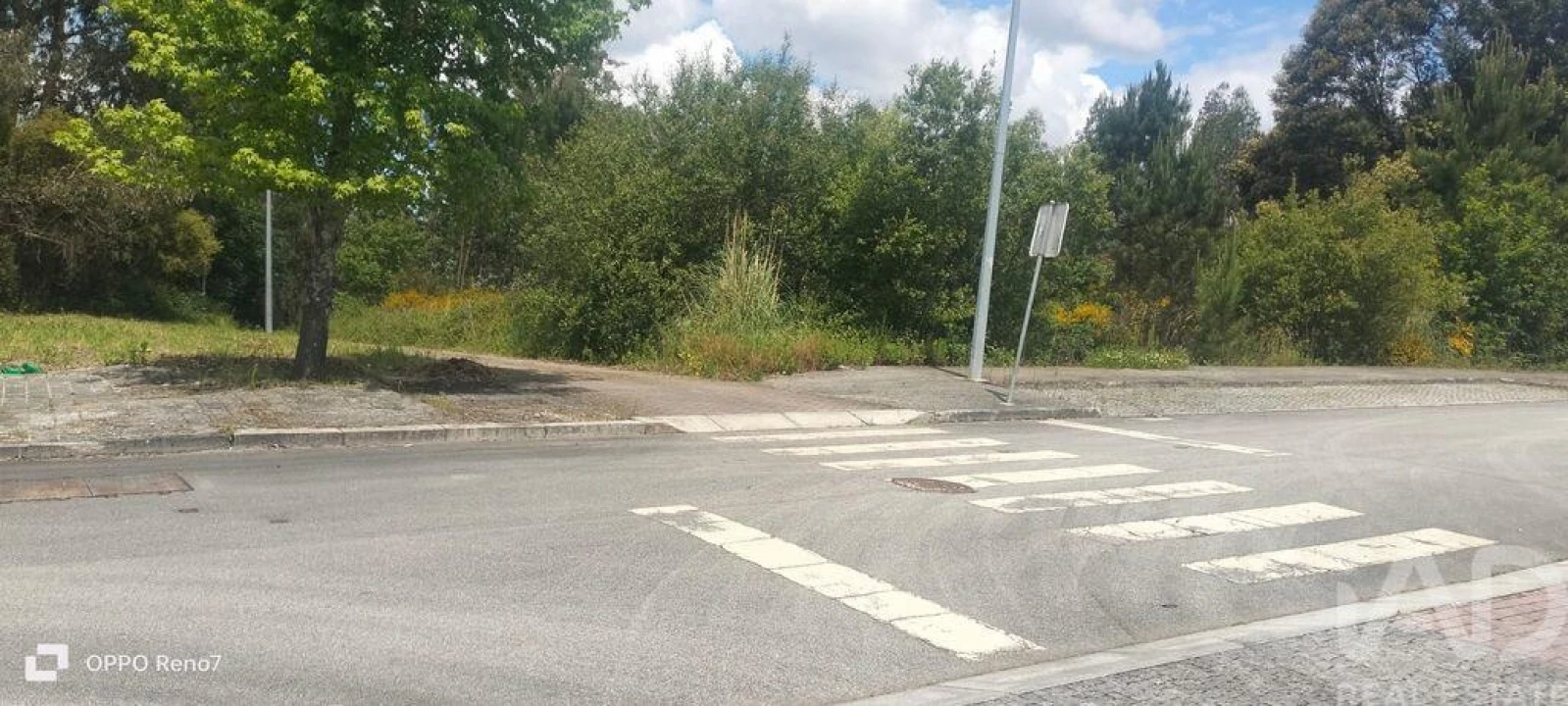 Terreno para Venda em Folgosa Foto 18