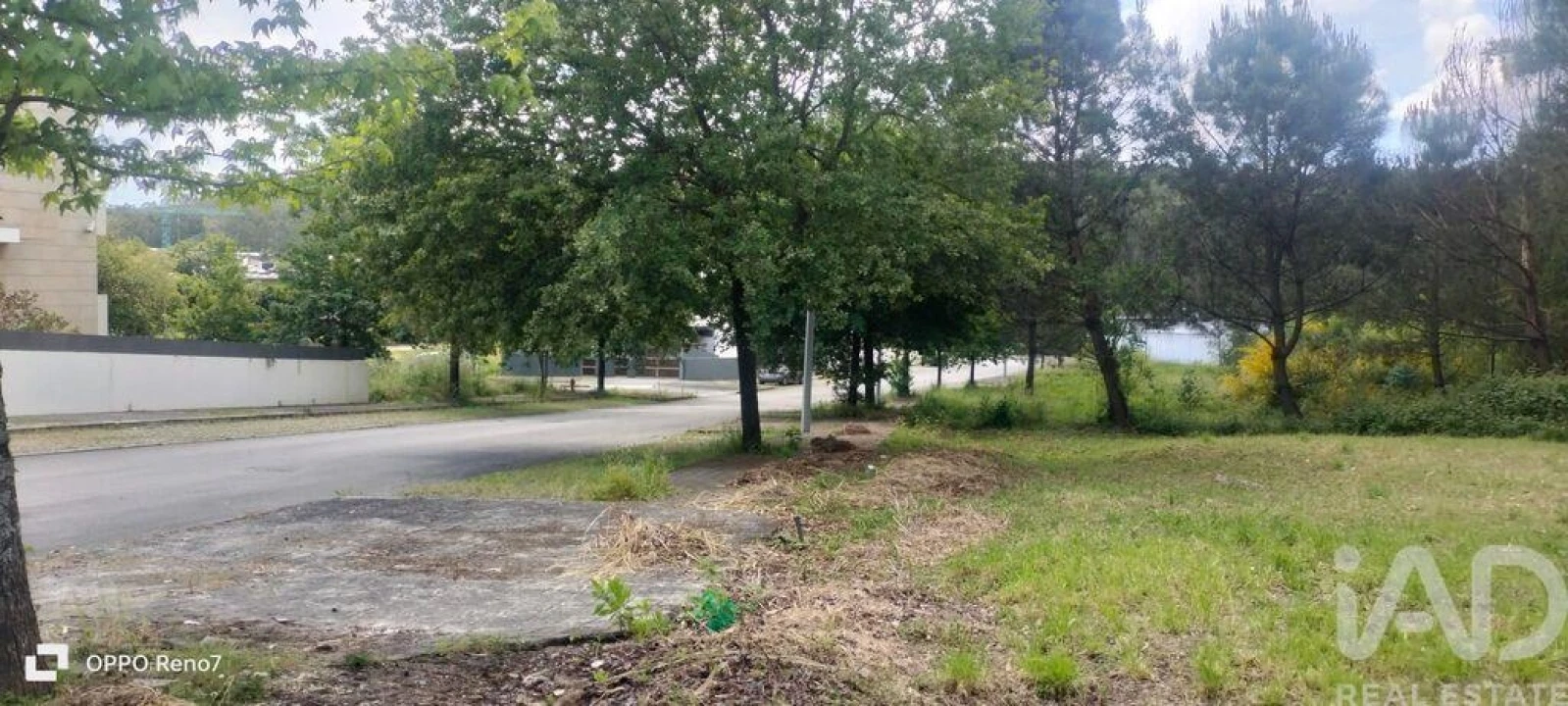 Terreno para Venda em Folgosa Foto 17