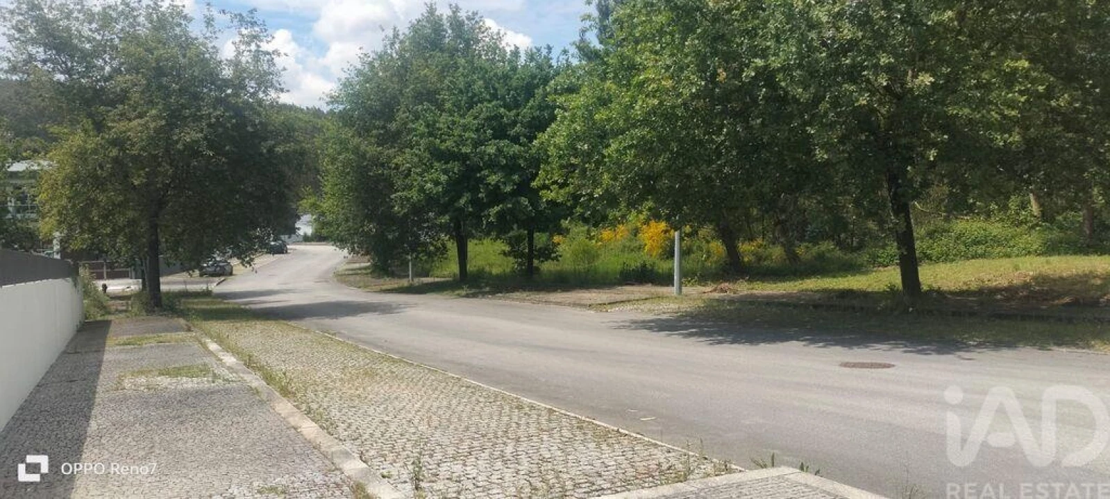 Terreno para Venda em Folgosa Foto 22