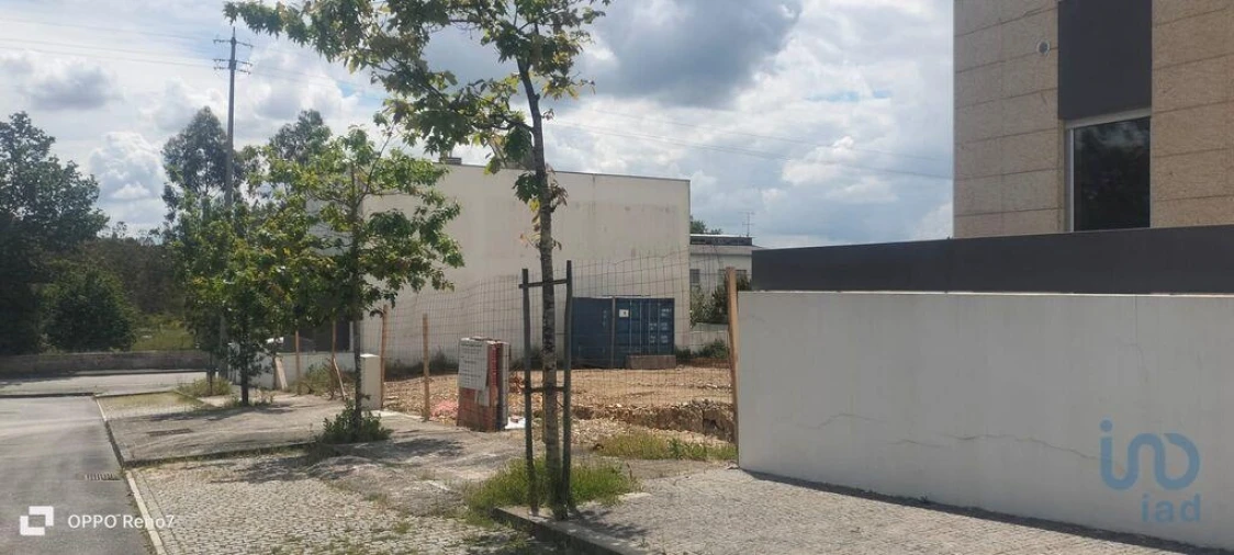 Terreno para Venda em Folgosa Foto 10