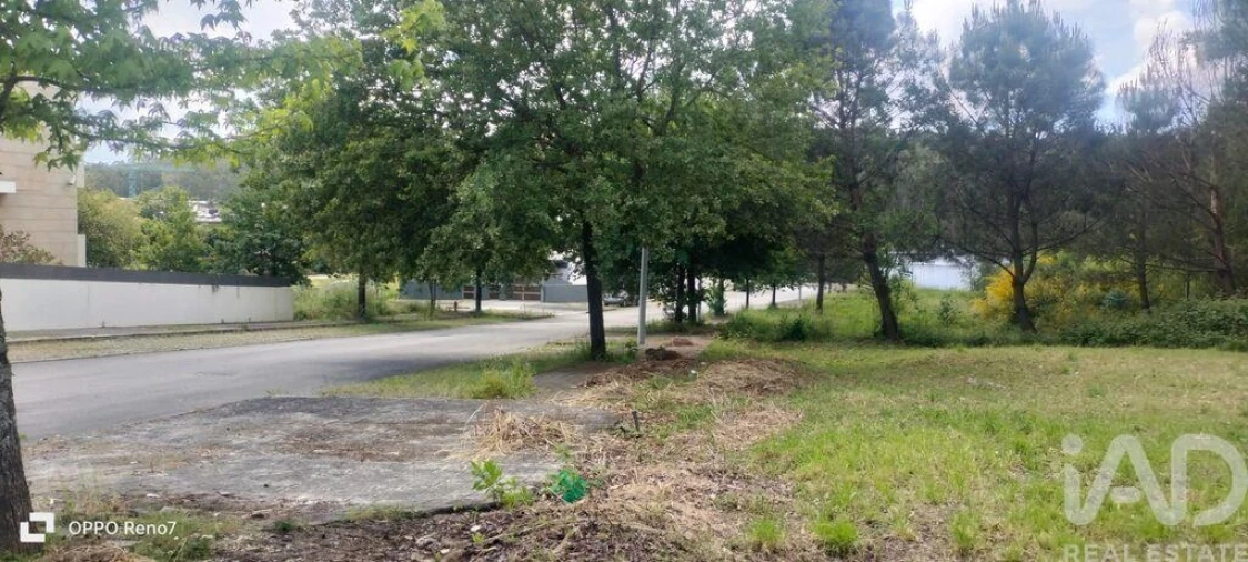 Terreno para Venda em Folgosa Foto 17