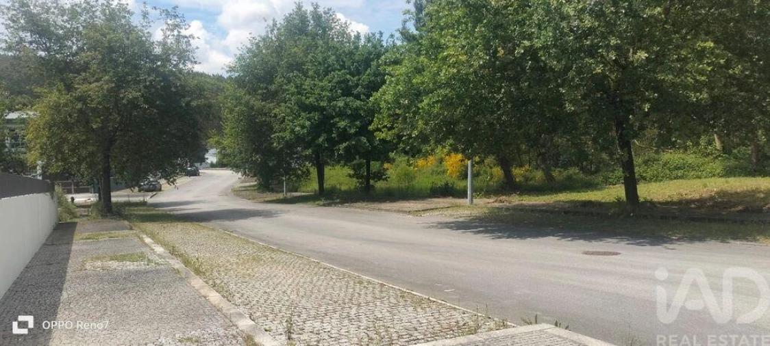 Terreno para Venda em Folgosa Foto 22