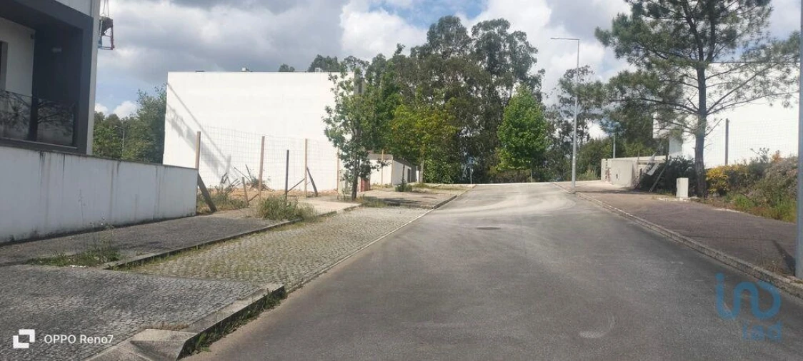 Terreno para Venda em Folgosa Foto 12