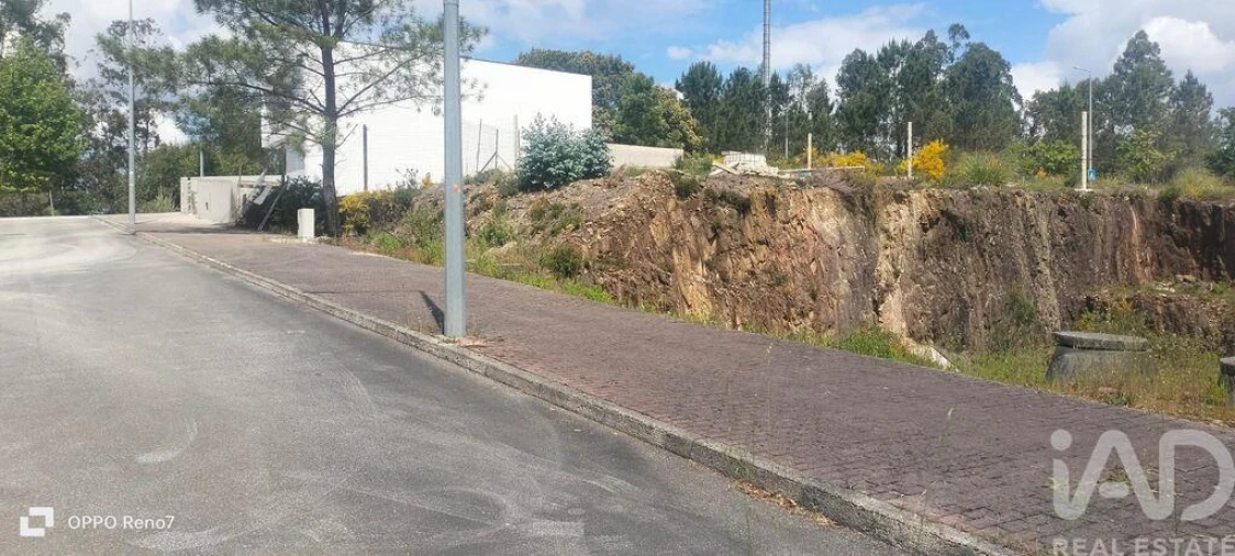 Terreno para Venda em Folgosa Foto 21