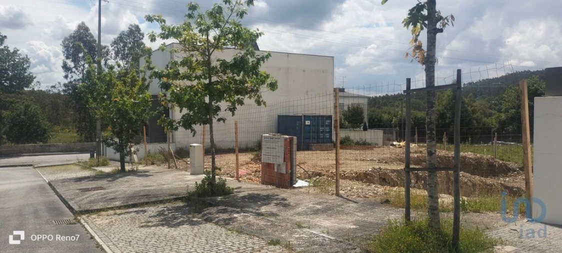 Terreno para Venda em Folgosa Foto 4