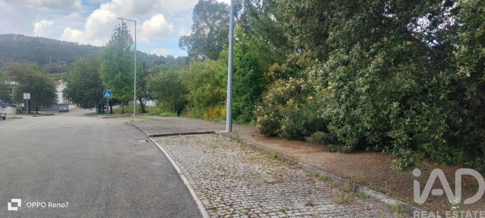 Terreno para Venda em Folgosa Foto 15