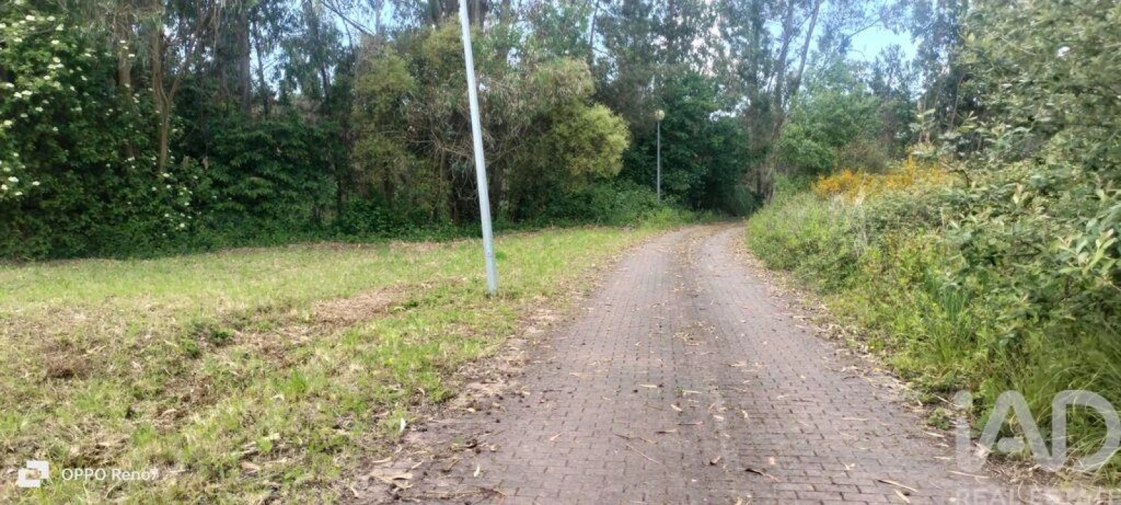 Terreno para Venda em Folgosa Foto 19