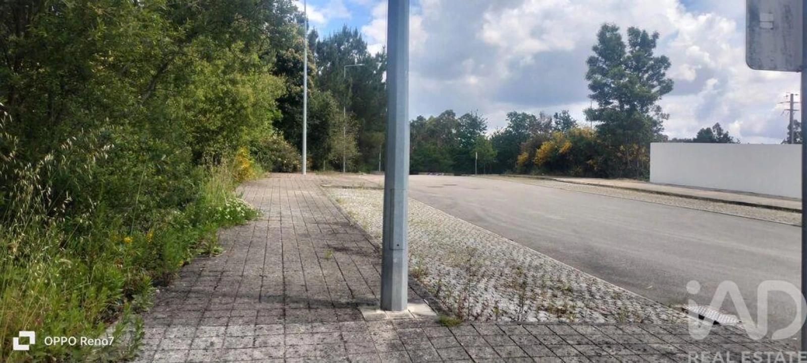 Terreno para Venda em Folgosa Foto 16