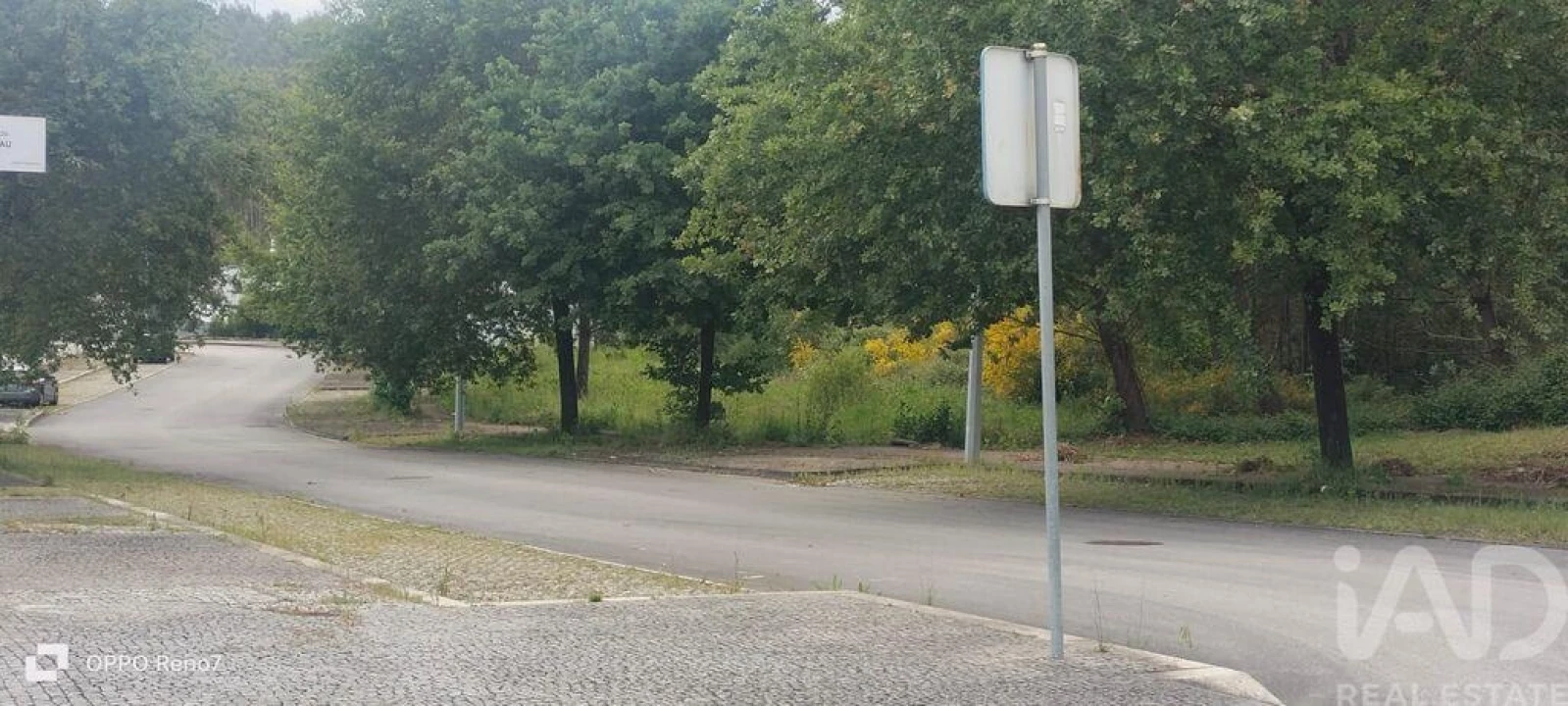 Terreno para Venda em Folgosa Foto 14