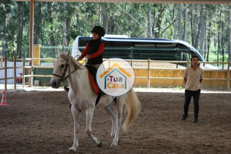 Apartamento T2 para Venda em Loureiro Foto 12
