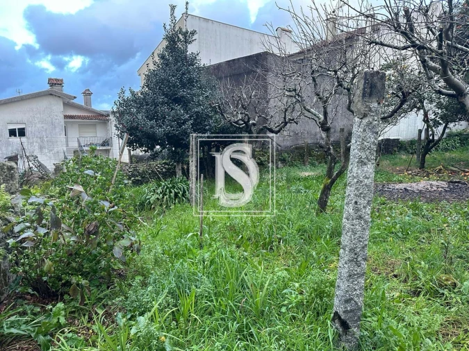 Terreno para Venda em Darque Foto 13