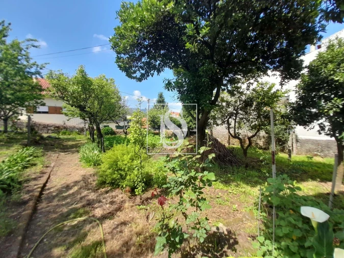 Terreno para Venda em Darque Foto 3
