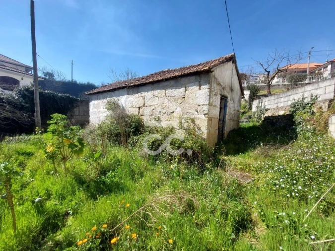 Moradia T1 para Venda em Sapiãos Foto 4