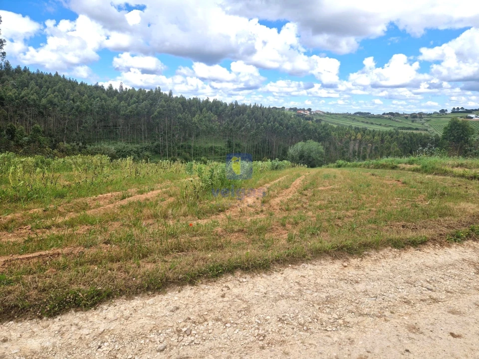 Terreno para Venda em Carvalhal Foto 24