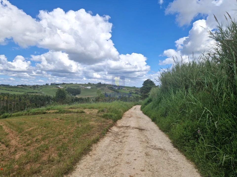 Terreno para Venda em Carvalhal Foto 19