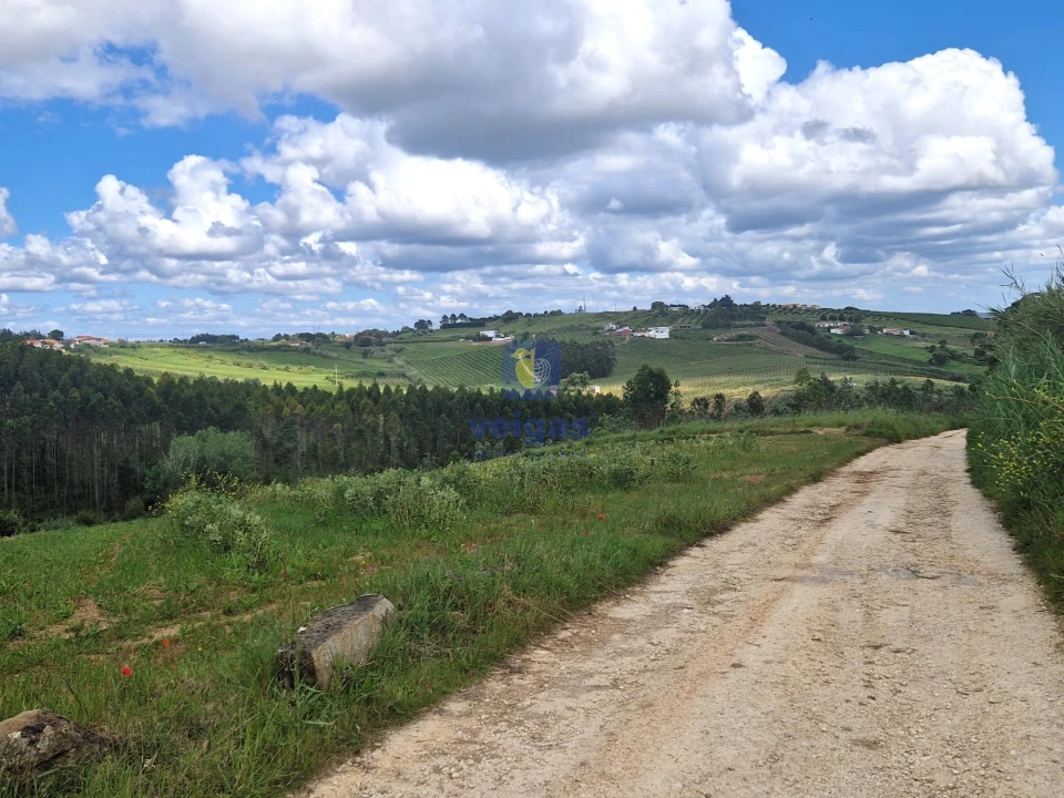 Terreno para Venda em Carvalhal Foto 12