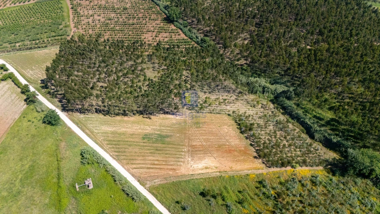 Terreno para Venda em Carvalhal Foto 5