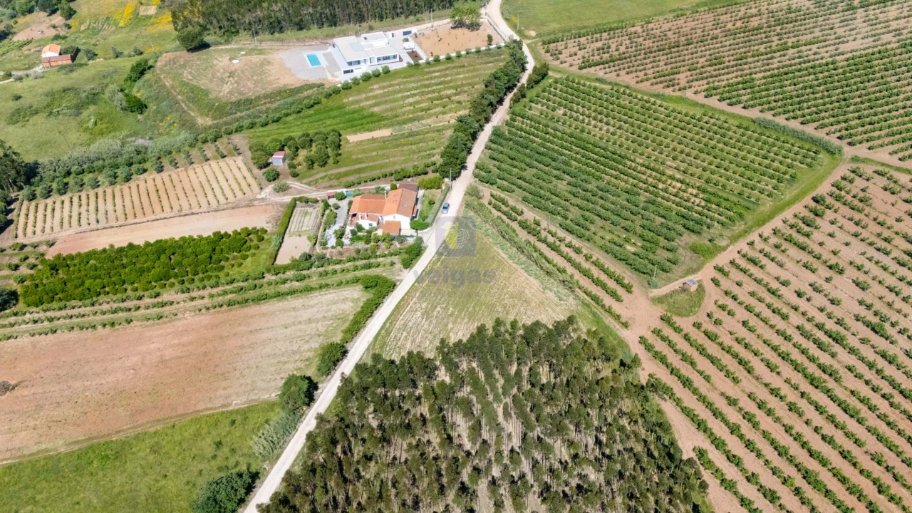 Terreno para Venda em Carvalhal Foto 26