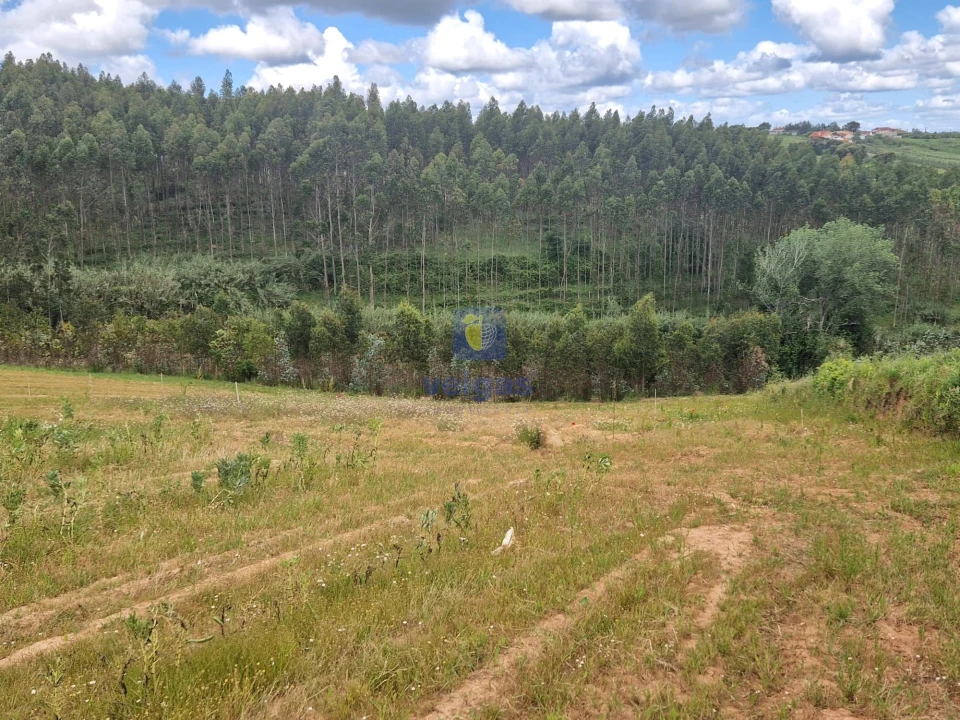 Terreno para Venda em Carvalhal Foto 14