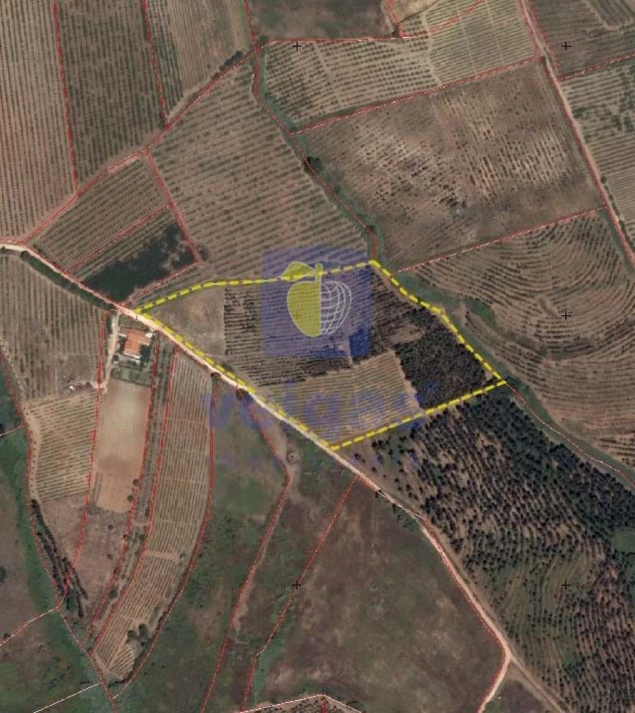 Terreno para Venda em Carvalhal Foto 28