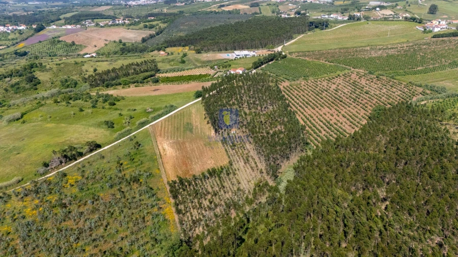 Terreno para Venda em Carvalhal Foto 13