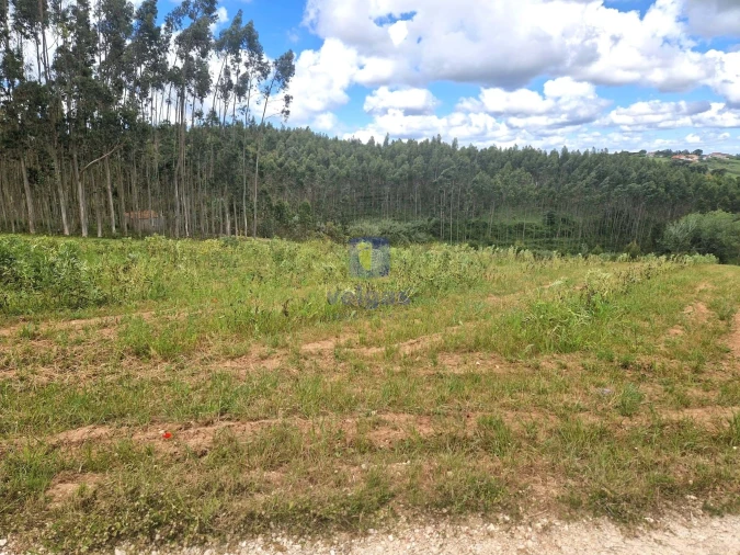 Terreno para Venda em Carvalhal Foto 23