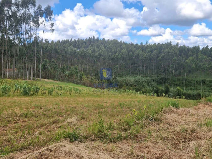 Terreno para Venda em Carvalhal Foto 18